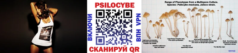 Псилоцибиновые грибы Cubensis  Камышлов 