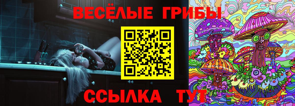 закладка  Камышлов  Псилоцибиновые грибы мухоморы  Псилоцибиновые грибы MAGIC MUSHROOMS 